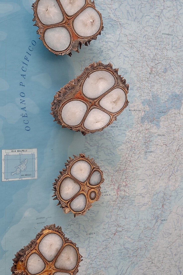 The Tagua Statement Necklace - Image 34
